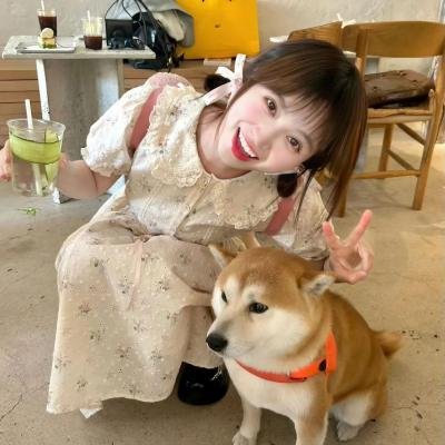 海外精选